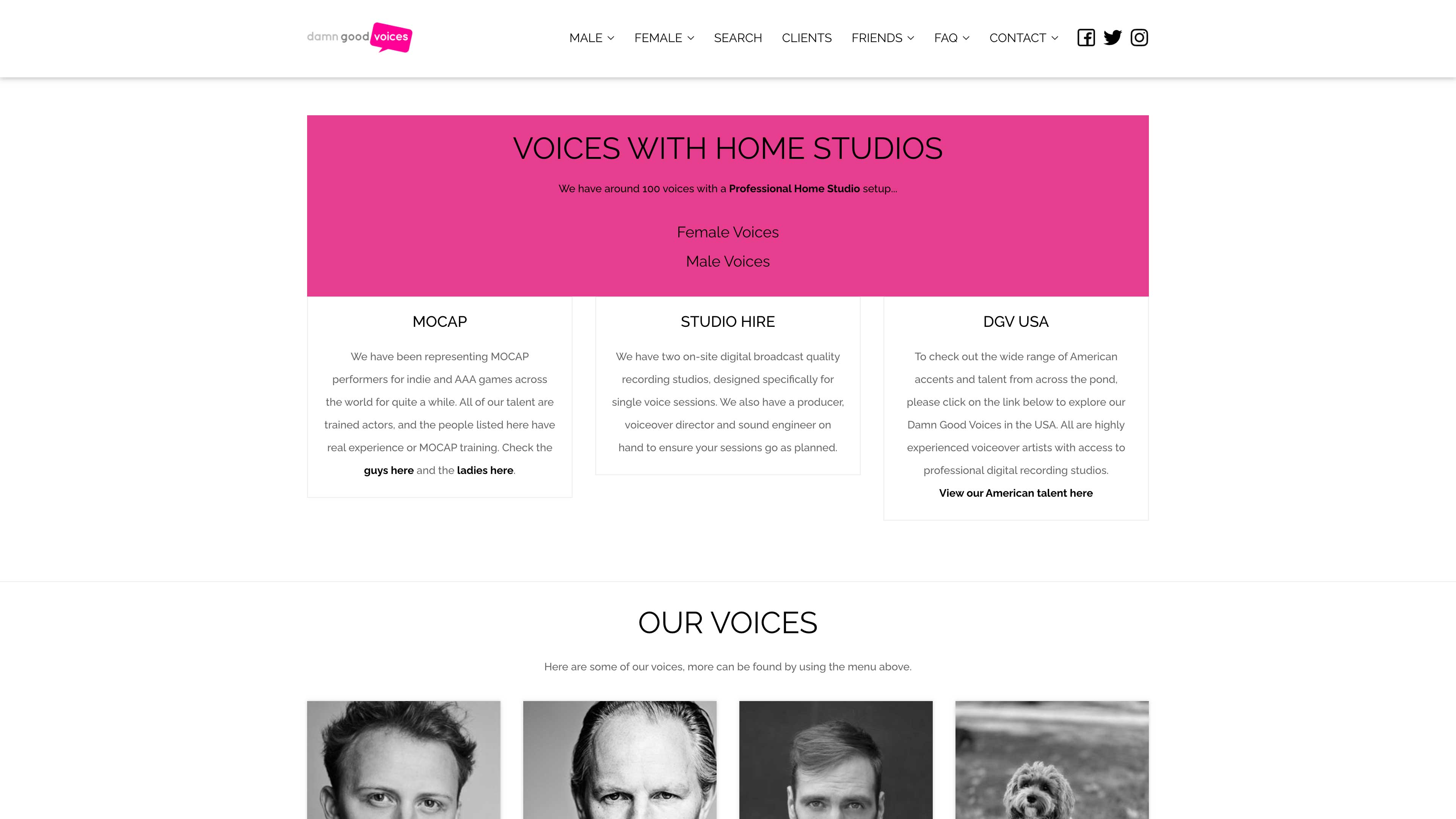 DamnGoodVoices image